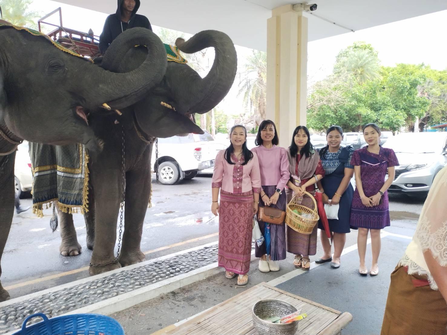 ร่วมโครงการ”ผู้ว่าฯพาแต่งผ้าไทย” ทำบุญใส่บาตรกับช้าง
